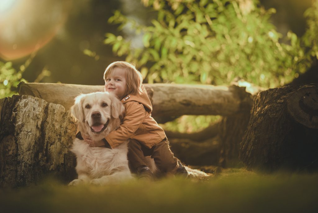 Enfant qui fait un câlin à un Golden Retriever