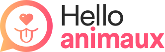 Hello Animaux