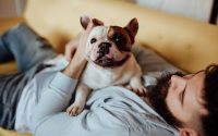 Chien bouledogue qui fait un câlin