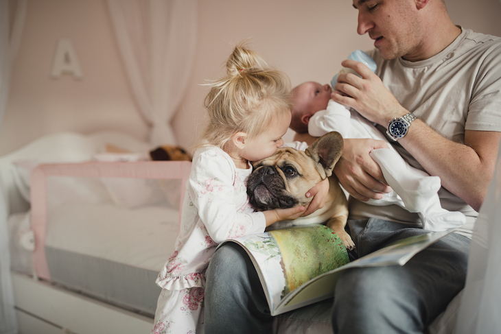 Bouledogue anglais en pleine séance de câlins avec un enfant