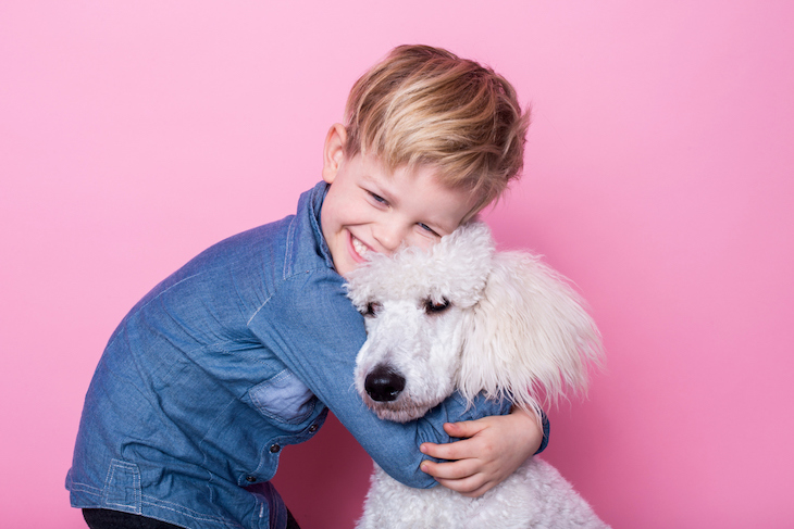 Enfant qui câline un Caniche