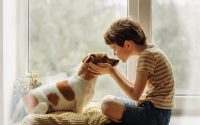 Enfant qui câline un chien