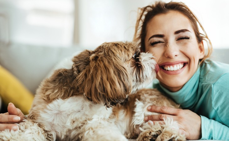 Chien qui lèche sa propriétaire