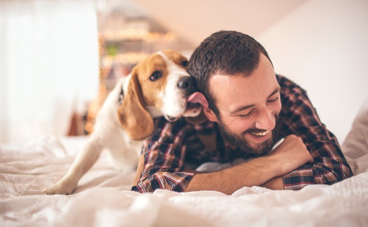 Chien qui lèche son propriétaire