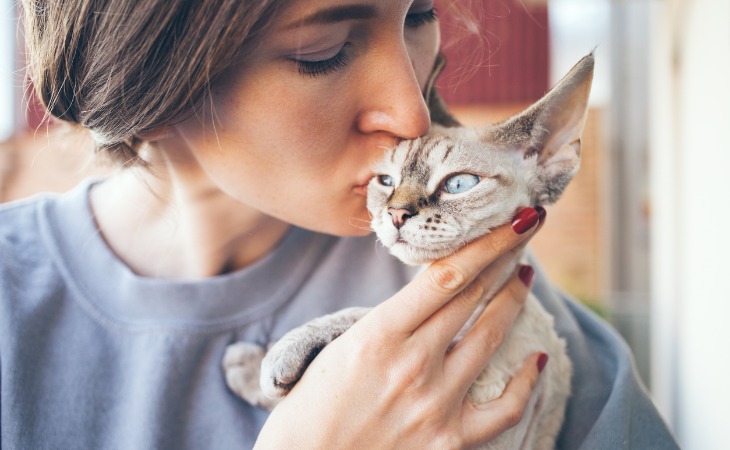 devon-rex-hypoallergenic