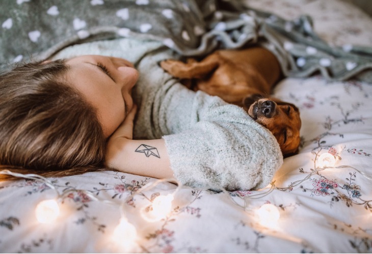 teckel durmiendo con su familia