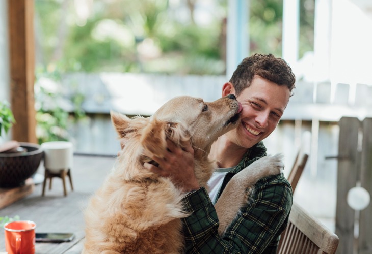 Un chien tactile est un chien qui demande de l'affection.