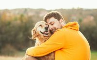 Comment caresser un chien ?