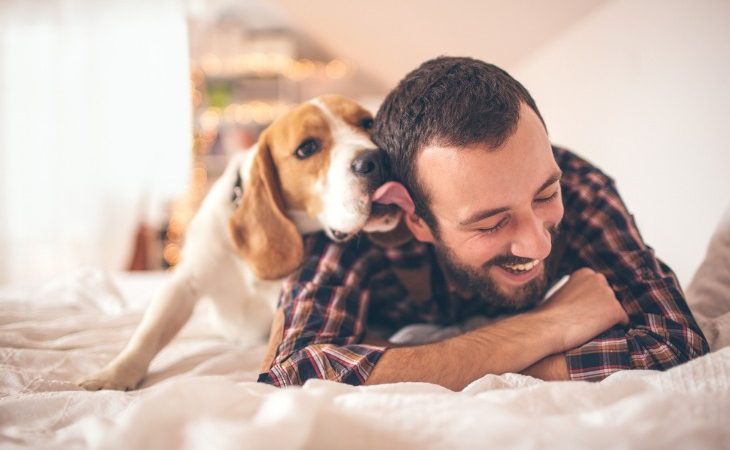 Chien qui lèche son maître