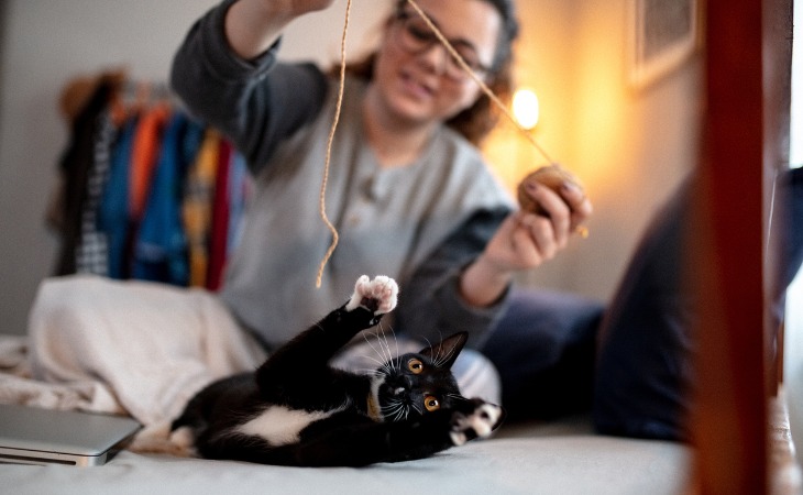 Chat qui joue avec sa propriétaire