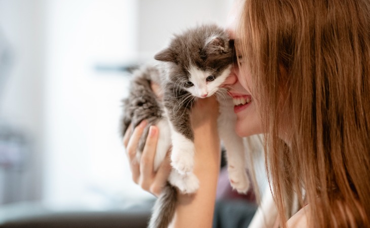 Gatito feliz con su dueña