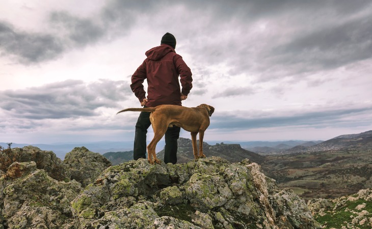 maître avec son chien en haut d'un pic dans les montagnes