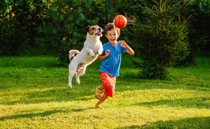 chien joue avec un ballon et un enfant dans un jardin