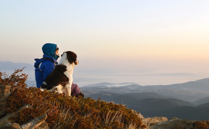 chien et son maître à la montagne regardent l'horizon