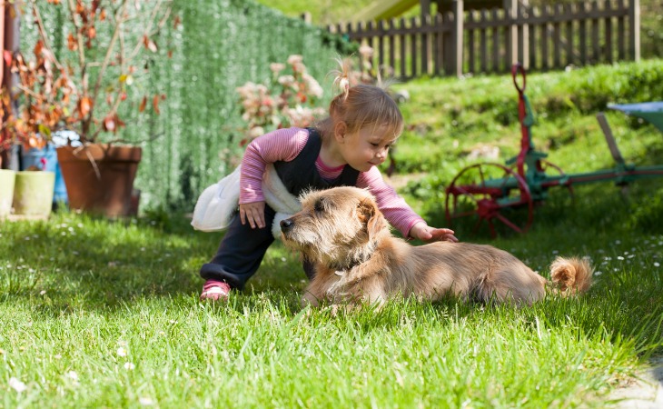 chien allongé dans l'herbe et enfant