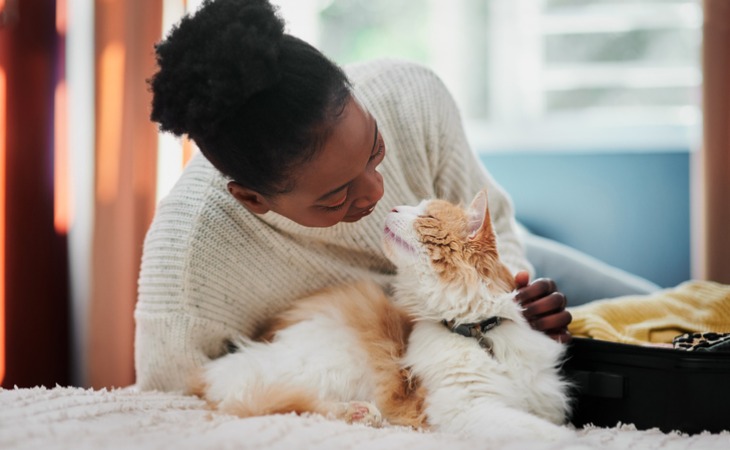 montrer à mon chat que je l'aime