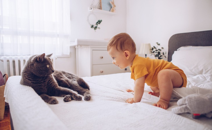 chat et bébé