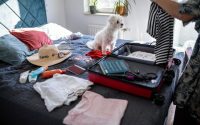 chien assis sur un lit pendant que sa maîtresse prépare sa valise