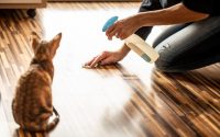 nettoyage pipi de chat sur un plancher