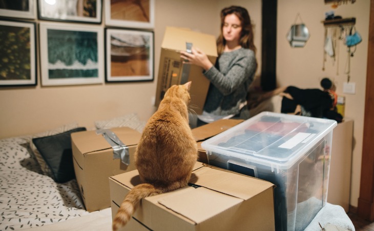 femme prépare le déménagement avec son chat