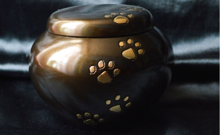 urne funéraire pour chat