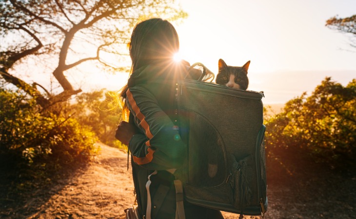 femme en voyage, transportant son chat dans un sac à dos spécial