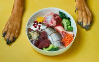 BARF pour chien, aliments crus dans une gamelle