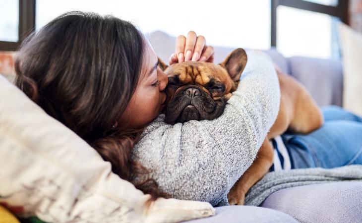 chiot bouledogue