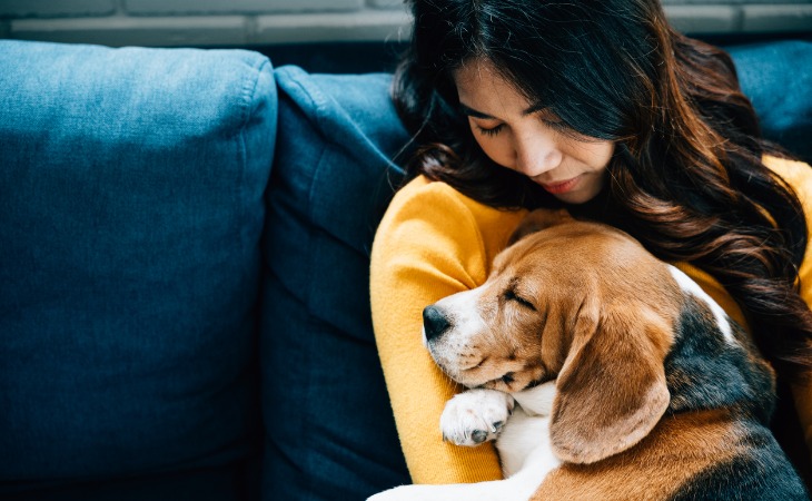 chien canapé avec sa propriétaire