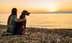 chien et sa propriétaire sur la plage